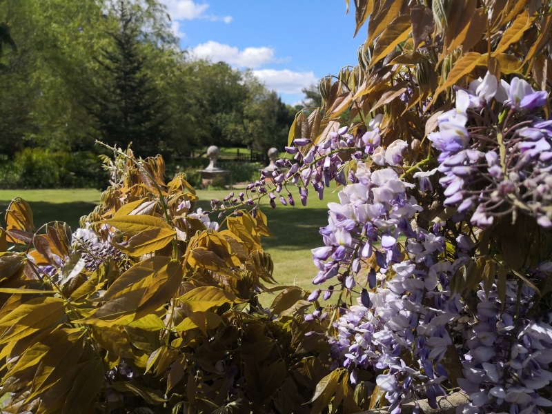 The Walled Garden